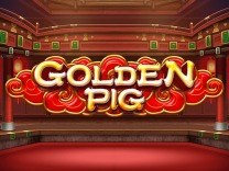 golden pig